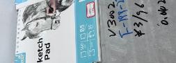 V3002